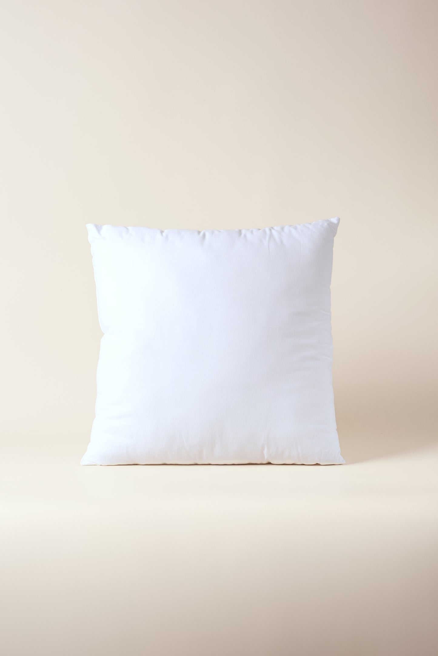 GARNITURE DE COUSSIN D'ORNEMENT