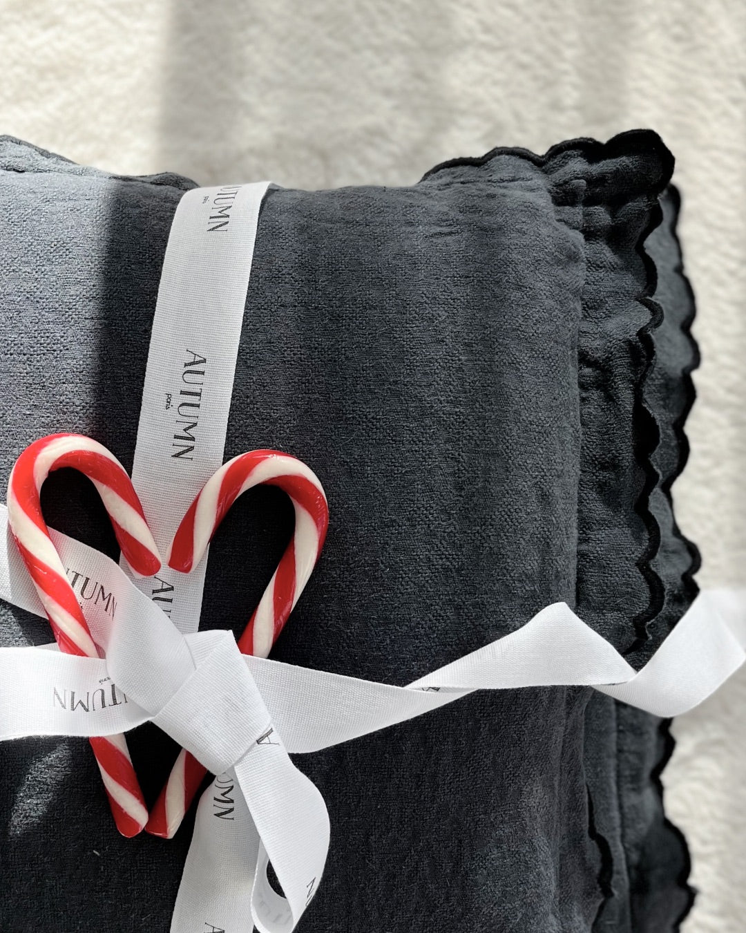 Lot de housse de coussin TARA