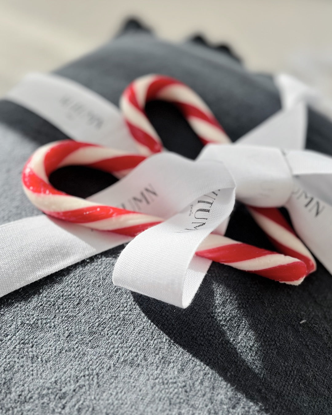 Lot de housse de coussin TARA